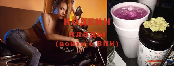 шишки Балахна