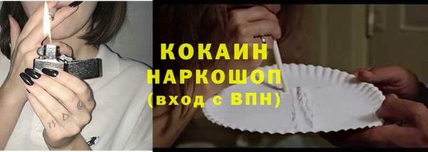 шишки Балахна
