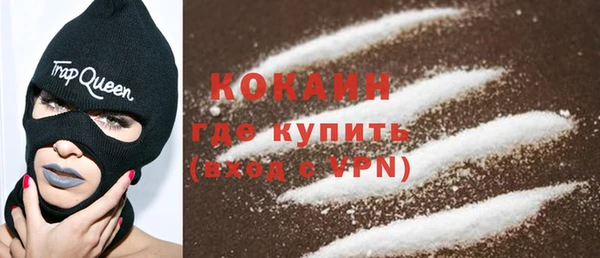 шишки Балахна