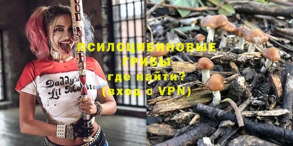 шишки Балахна