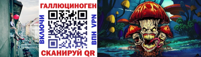 Псилоцибиновые грибы GOLDEN TEACHER  как найти   Гаврилов Посад 